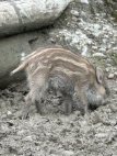 image024